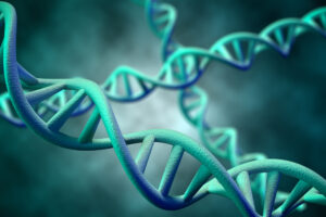 DNA molecule